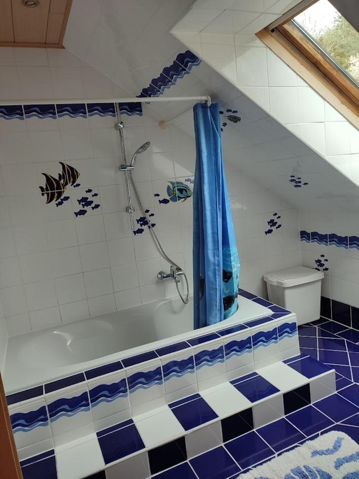 Ferienhaus Schoeller Schonbach Ngoại thất bức ảnh